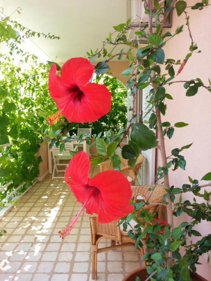 וודיצה Apartments Irena מראה חיצוני תמונה